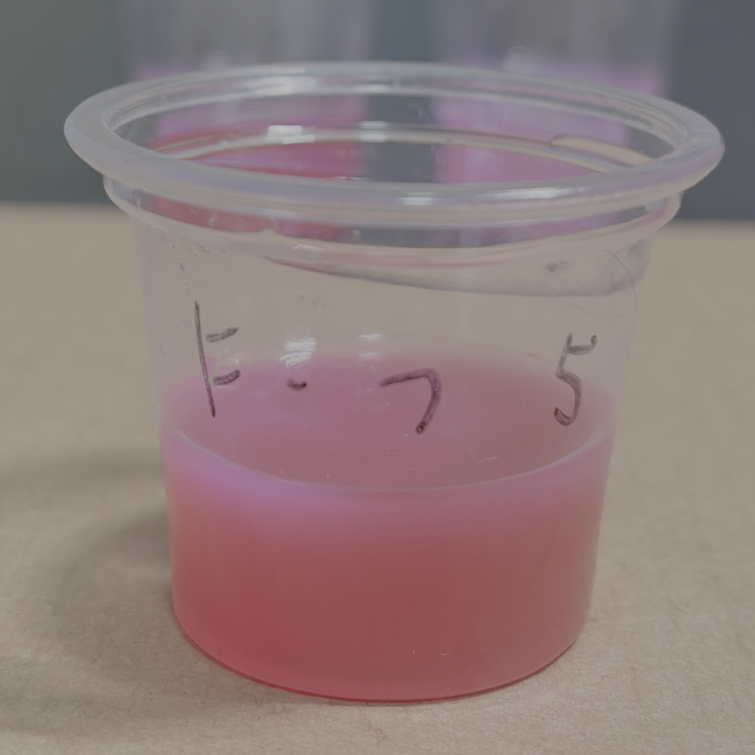 FUNSHOWCASE フクシア 5滴（硬化後）